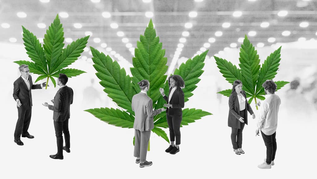 Cannabis Business People at Event