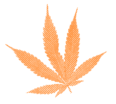 cannabis leaf in orange halftone